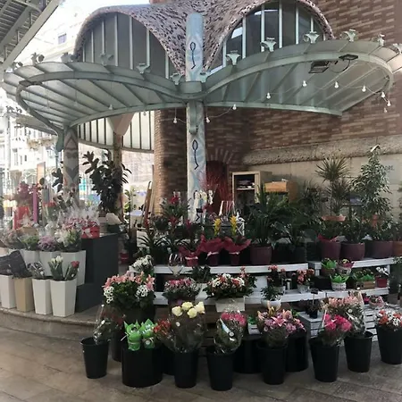 Apartmán Garden Turia Downtown *